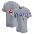 Chicago Cubs #4 Pete Crow-Armstrong Player Gray HeidiMiller Road Limited Elite Home Stitched Jerseys