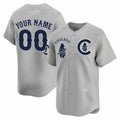 Custom Chicago Cubs Special Vapor Premier Limited Jersey V2 ¨C Gray HeidiMiller